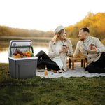 جهاز تدفئة وتبريد كهربائي للاطعمة من جرين ليون Green Lion Highway Electric Heating And Cooling - Black